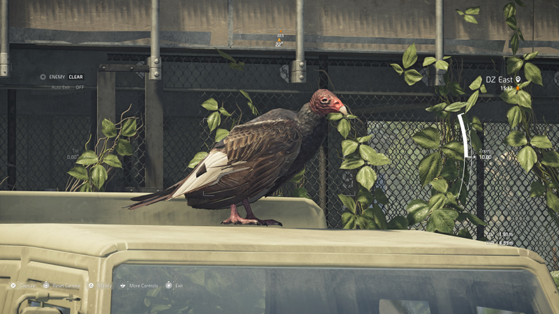 Illustration for article titled My Journey To Photograph All The Wildlife In The Division 2